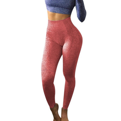 Speed Dry Fitness Leggings